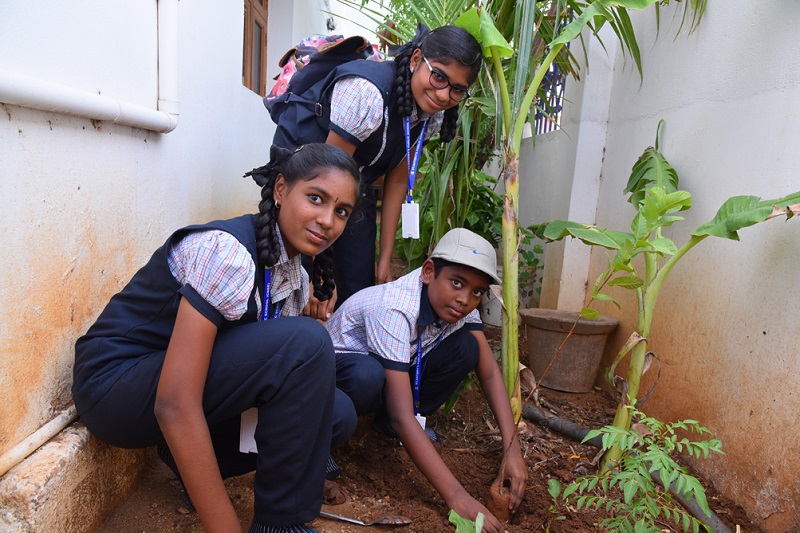 nature club activities