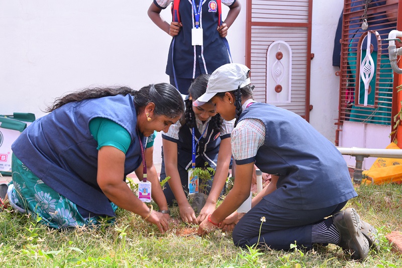 extra curricular activities